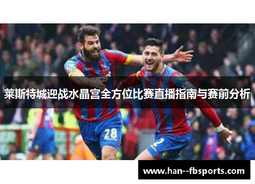 莱斯特城迎战水晶宫全方位比赛直播指南与赛前分析